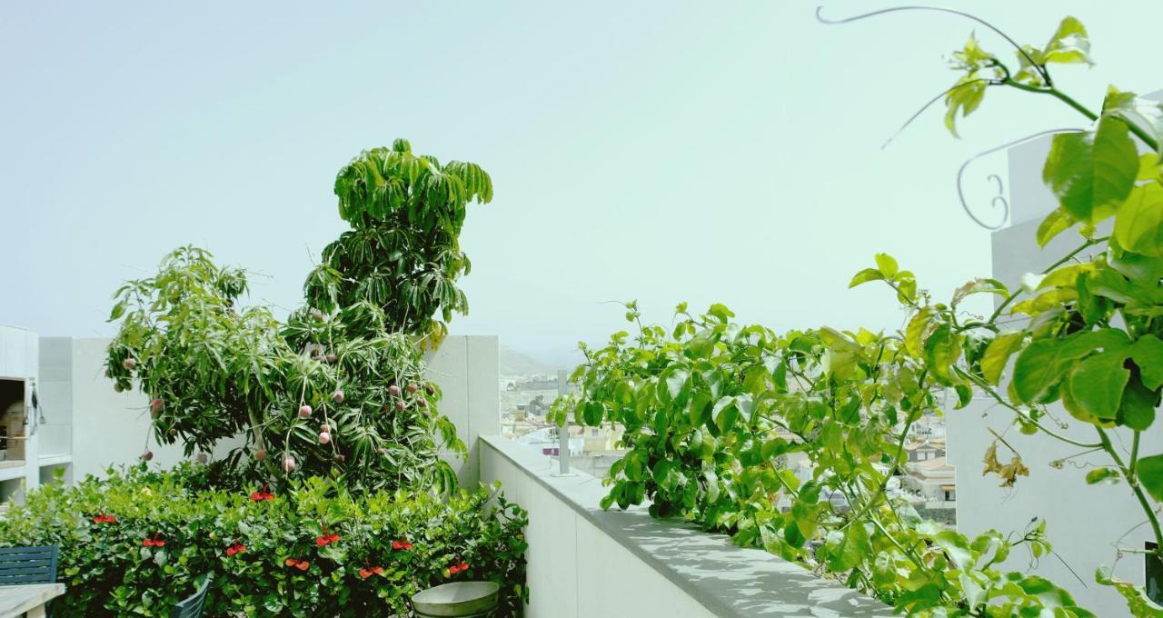 Villa Royale Trespalomas 마스팔로마스 외부 사진